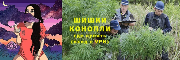 метадон Няндома