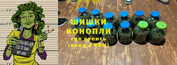 метадон Няндома