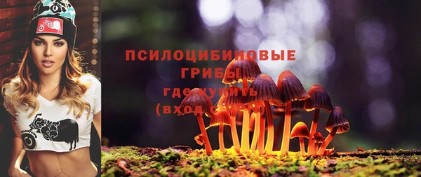 MDMA Богданович