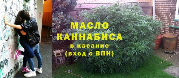 молекула духа Богородицк