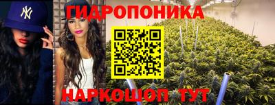 ГАЛЛЮЦИНОГЕННЫЕ ГРИБЫ Гусев