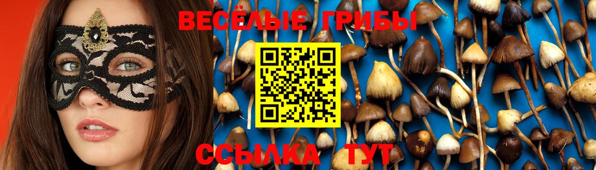 Котельники  Псилоцибиновые грибы мицелий  Псилоцибиновые грибы Psilocybine cubensis  Вход с VPN 